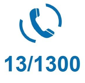 Inbound Number 13/1300