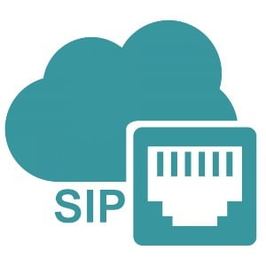 SIP IP Voice Standard Line